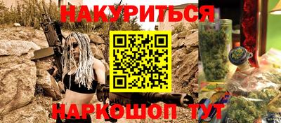 прущие грибы Будённовск