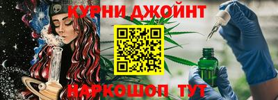 прущие грибы Будённовск