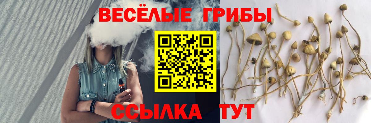 Арзамас  Галлюциногенные грибы прущие грибы  Вход с VPN 